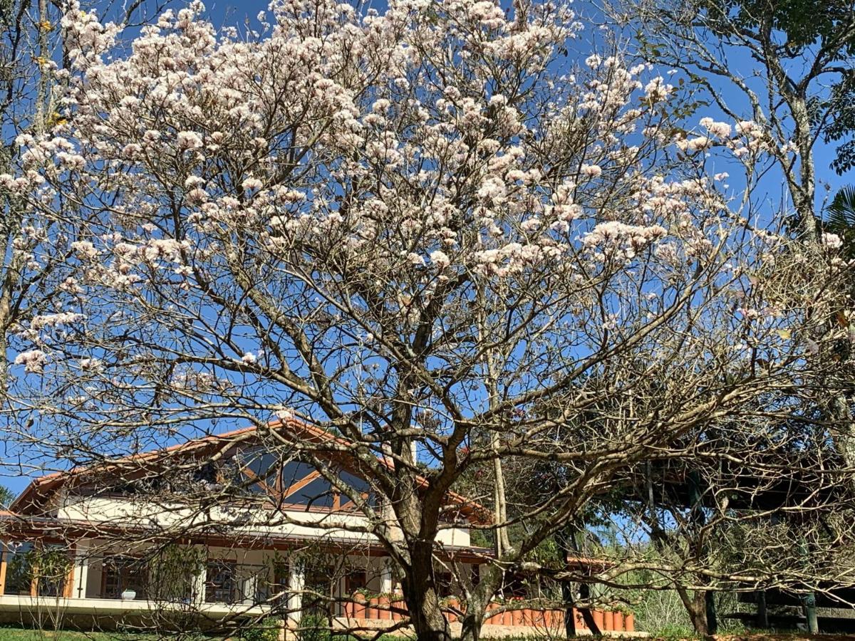 Gardenian Boutique Hotel São Roque Kültér fotó